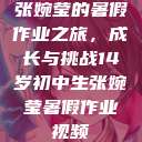 张婉莹的暑假作业之旅，成长与挑战14岁初中生张婉莹暑假作业视频  第1张