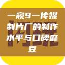 一窥9一传媒制片厂的制作水平与口碑麻豆  第1张