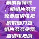 探索高清电视剧的新领域，姐姐片多多免费高清电视剧的魅力姐姐片多多免费高清电视剧网站  第1张