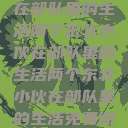 两个东北小伙在部队里的生活两个东北小伙在部队里的生活两个东北小伙在部队里的生活免费阅读  第1张