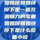姐姐呀姐姐快停下是一首充满魅力的歌曲姐姐呀姐姐快停下是什么歌曲小说  第1张