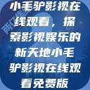 小毛驴影视在线观看，探索影视娱乐的新天地小毛驴影视在线观看免费版  第1张