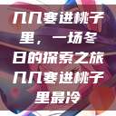 几几寒进桃子里，一场冬日的探索之旅几几寒进桃子里最冷  第1张