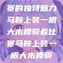 马鞍上装一根大木棒骑着比赛的独特魅力马鞍上装一根大木棒骑着比赛马鞍上装一根大木棒骑着比赛木马PIAy  第1张