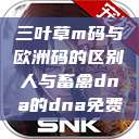 三叶草m码与欧洲码的区别人与畜禽dna的dna免费  第1张