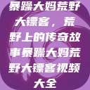 暴躁大妈荒野大镖客，荒野上的传奇故事暴躁大妈荒野大镖客视频大全  第1张