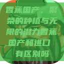 香蕉国产,繁荣的种植与无限的潜力香蕉国产和进口 有区别吗 第1张 香蕉国产,繁荣的种植与无限的潜力香蕉国产和进口 有区别吗 第1张
