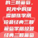 李丽珍最经典的三颗葡萄，时光中的璀璨明珠李丽珍最经典三颗葡萄李丽珍最经典三颗葡萄玉女心经  第1张