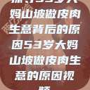 探寻53岁大妈山坡做皮肉生意背后的原因53岁大妈山坡做皮肉生意的原因视频  第1张