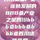 四川桑蚕产业，蓬勃发展的BBB桑产业之星四川bbb桑bbb桑bbb桑四川话啥意思  第1张