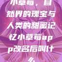小草莓，自然界的瑰宝与人类的甜蜜记忆小草莓app改名后叫什么  第1张