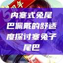 内塞式兔尾巴佩戴的舒适度探讨塞兔子尾巴 第1张 内塞式兔尾巴佩戴的舒适度探讨塞兔子尾巴 第1张