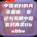 中国农村的真实面貌，变迁与发展中国农村真卖Bbwbbw  第1张