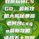 暴躁老阿姨教你玩转CSGO，最新攻略大揭秘暴躁老阿姨csgo最新攻略 适合五十岁阿姨  第1张