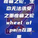 疼痛之轮，生命无法承受之重疼痛之轮wheel of pain在哪里  第1张