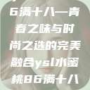 ysl水蜜桃86满十八—青春之味与时尚之选的完美融合ysl水蜜桃86满十八吗  第1张