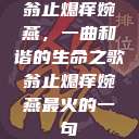 翁止熄痒婉燕，一曲和谐的生命之歌翁止熄痒婉燕最火的一句  第1张