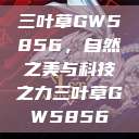 三叶草GW5856，自然之美与科技之力三叶草GW5856  第1张