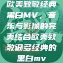 欧美致敬经典黑白MV，音乐与影像的完美结合欧美致敬很多经典的黑白mv  第1张