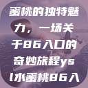 探索YSL水蜜桃的独特魅力，一场关于86入口的奇妙旅程ysl水蜜桃86入口直播  第1张