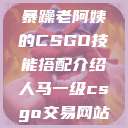 暴躁老阿姨的CSGO技能搭配介绍人马一级csgo交易网站 第1张 暴躁老阿姨的CSGO技能搭配介绍人马一级csgo交易网站 第1张