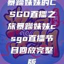 暴躁妹妹的CSGO直播之旅暴躁妹妹csgo直播节目回放完整版  第1张