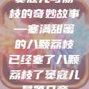 窦寇儿与荔枝的奇妙故事—塞满甜蜜的八颗荔枝已经塞了八颗荔枝了窦寇儿是第几章  第1张