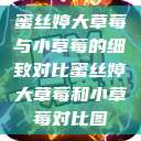 蜜丝婷大草莓与小草莓的细致对比蜜丝婷大草莓和小草莓对比图  第1张