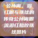 公孙离，泪红眼与铁球的传奇公孙离眼流泪红脸咬铁球图片  第1张