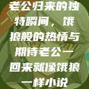 老公归来的独特瞬间，饿狼般的热情与期待老公一回来就像饿狼一样小说  第1张