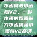 水蜜桃与水蜜桃V2,一种水果的双重魅力水蜜桃和水蜜桃v2高清 第1张 水蜜桃与水蜜桃V2,一种水果的双重魅力水蜜桃和水蜜桃v2高清 第1张