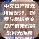 中文日产幕无线码系列，探索与赏析中文日产幕无线码系列天海翼  第1张