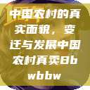 中国农村的真实面貌，变迁与发展中国农村真卖Bbwbbw  第1张