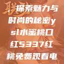 YSL水蜜桃口红5337，探索魅力与时尚的秘密ysl水蜜桃口红5337红桃免费观看电视剧高清墨雨云间  第1张