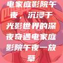 电家庭影院午夜，沉浸于光影世界的深夜奇遇电家庭影院午夜一放草  第1张