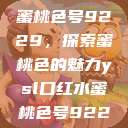 YSL口红水蜜桃色号9229，探索蜜桃色的魅力ysl口红水蜜桃色号92295  第1张
