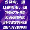 公孙离，泪红眼流泪，独特魅力闪耀公孙离眼流泪红脸咬铁球图片在线观看  第1张
