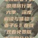 免费在线观看电视剧妻子的浪漫旅行第六季，深度解读与体验《妻子6》在线观看免费版电视剧公公与媳妇  第1张