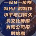 一窥9一传媒制片厂的制作水平与口碑久久文化传媒有限公司招聘信息  第1张