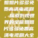 姐姐片多多免费高清电视剧，探索影视世界的宝藏姐姐片多多免费高清电视剧大全  第1张