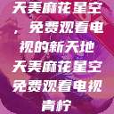 天美麻花星空，免费观看电视的新天地天美麻花星空免费观看电视青柠  第1张