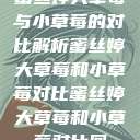 蜜丝婷大草莓与小草莓的对比解析蜜丝婷大草莓和小草莓对比蜜丝婷大草莓和小草莓对比图  第1张