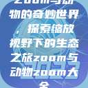 Zoom与动物的奇妙世界，探索缩放视野下的生态之旅zoom与动物zoom大全  第1张