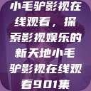 小毛驴影视在线观看，探索影视娱乐的新天地小毛驴影视在线观看901集  第1张