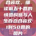 合卺欢，细读前五十回的情感纠葛与人生百态合卺欢1到50回的图片  第1张