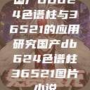 国产DB624色谱柱与36521的应用研究国产db624色谱柱36521图片小说  第1张