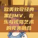 欧美致敬经典黑白MV，音乐与视觉艺术的完美融合  第1张
