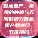 香蕉国产，繁荣的种植与无限的潜力香蕉国产和进口 有区别吗  第1张