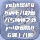 ysl水蜜桃86满十八的魅力与独特之处ysl水蜜桃86满十八吗  第1张