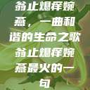 翁止熄痒婉燕，一曲和谐的生命之歌翁止熄痒婉燕最火的一句  第1张